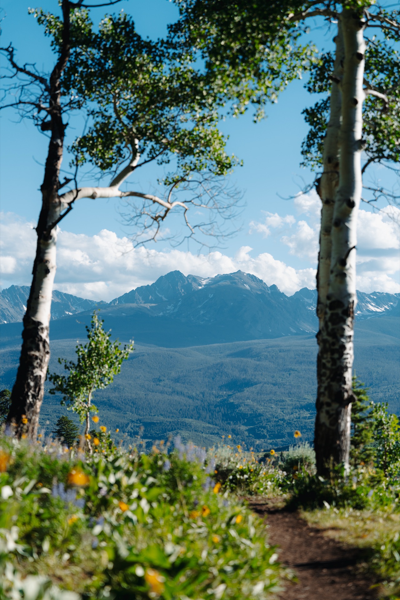 Aspen-lined trail and mountain views near Breckenridge
